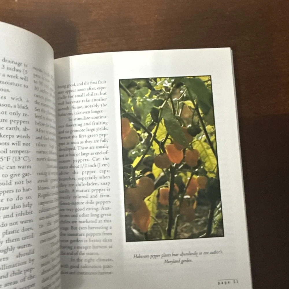 The Chile Pepper Book: A Fiesta of Fiery, Flavorful Recipes - Paperback - GOOD